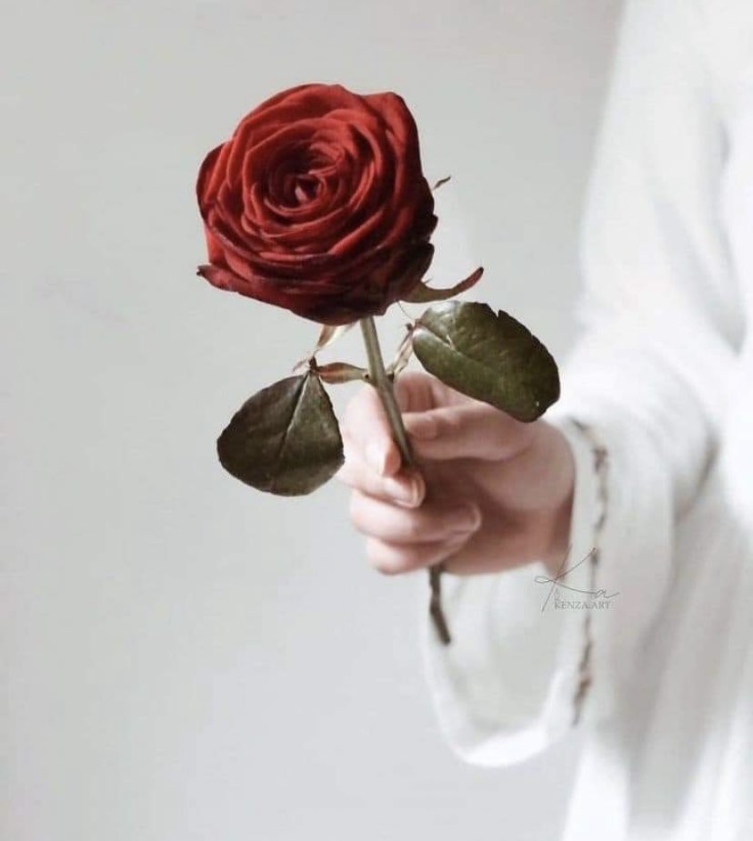 الصداقة والحب مدینه مغلقه لا ید خلها إلا من یحمل جواز الوفاء
Persahabatan &amp; percintaan itu ibarat
kota tertutup yg hanya bisa dimasuki 
oleh org yg memiliki visa kesetiaan.