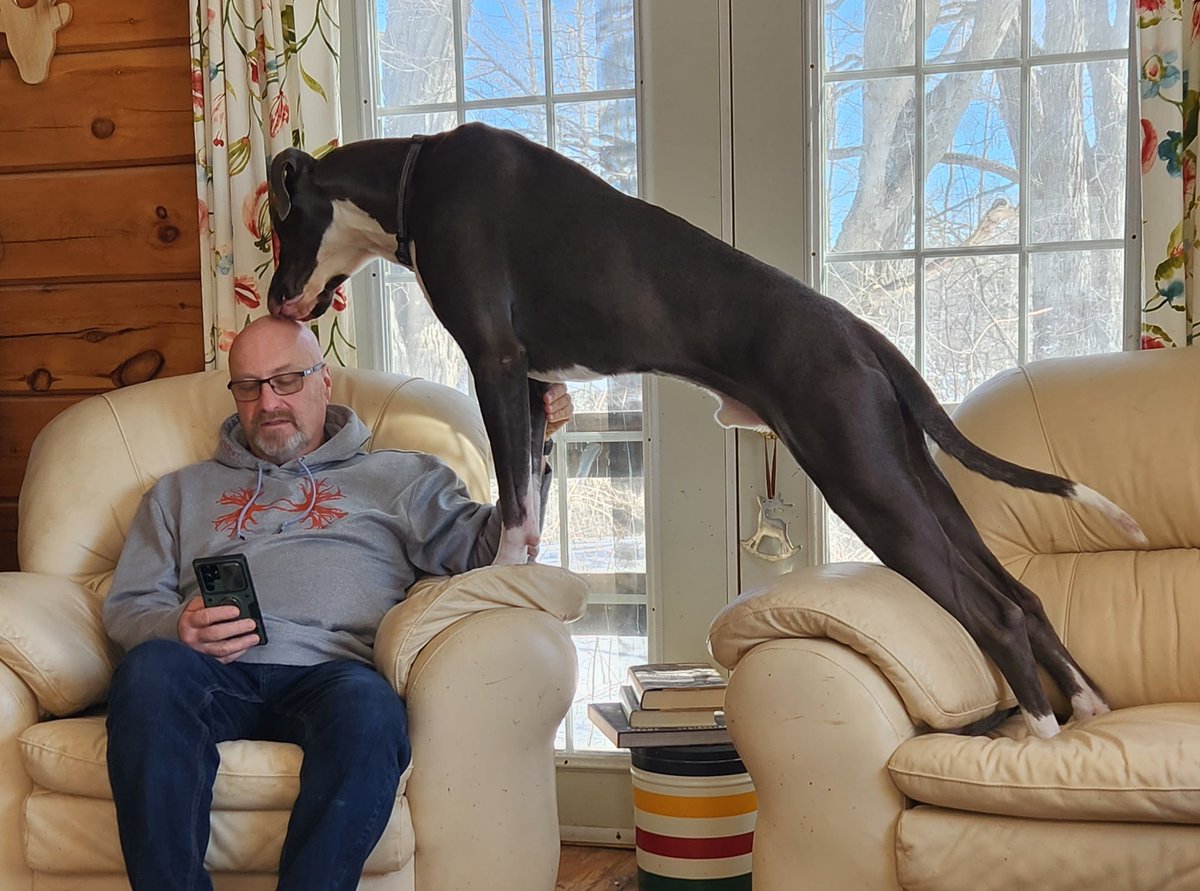 Kanethedane10's tweet photo. Be sure to tell the people you love how you feel about them! ❤️❤️🥰 #rigs #DogsofTwittter #DogTwitter https://t.co/lOf3ROqSlt