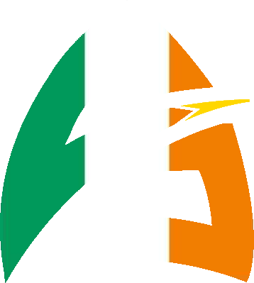 AbyssalPhorcys's tweet image. 🇮🇪Joyeux #SaintPatricksDay🍀

Aujourd'hui la convivialité irlandaise se propage dans le monde entier🔥

Festoyer, dansez, chantez, souriez, riez🥳
On met de côté la rivalité🏉

Tag un(e) pote qui devra te payer le breuvage de ton choix ce soir ! 🍻

#saintpatrick #AvecModération