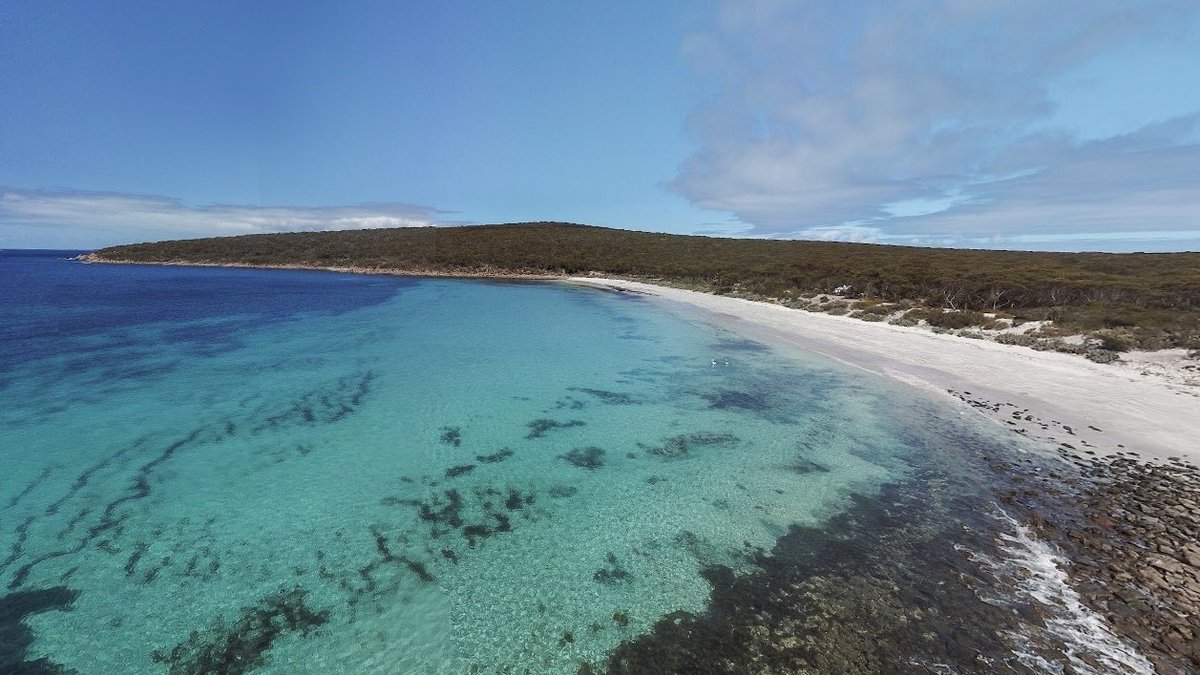 Ggl_Strview's tweet image. No.143
-34.96080,135.98973