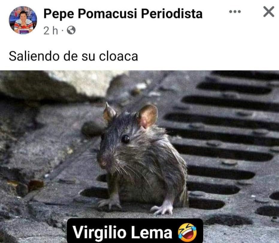 SebastanQuispe1's tweet photo. @lemavirginio @PepePomacusi Todos los días. https://t.co/2MxMAtoUB5