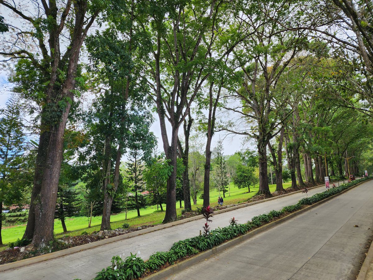 neorichcel's tweet photo. Mainstreaming quality assurance is indeed a daunting process but the learning journey makes it all worthwhile.  

Way to go MSU! ❤️❤️❤️ https://t.co/fcSIXDHz3v
