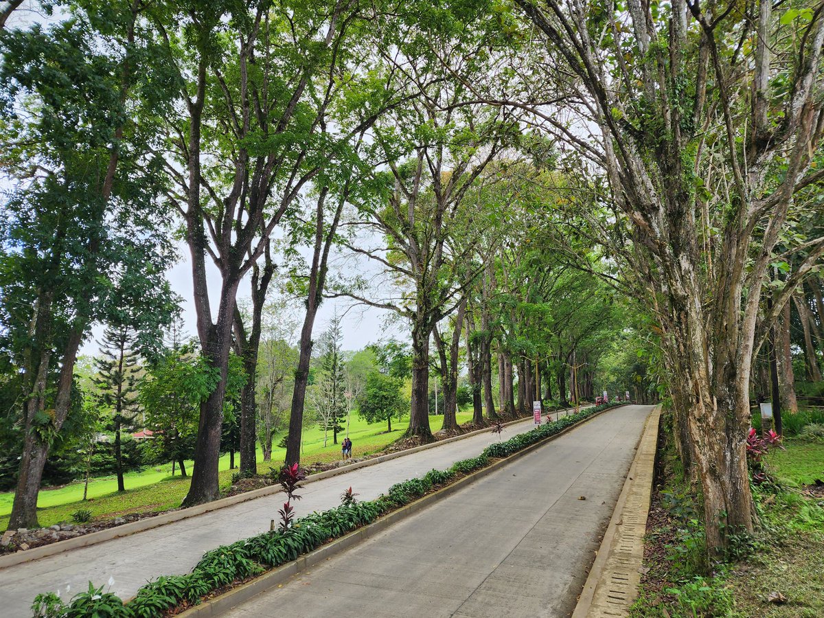 neorichcel's tweet photo. Mainstreaming quality assurance is indeed a daunting process but the learning journey makes it all worthwhile.  

Way to go MSU! ❤️❤️❤️ https://t.co/fcSIXDHz3v