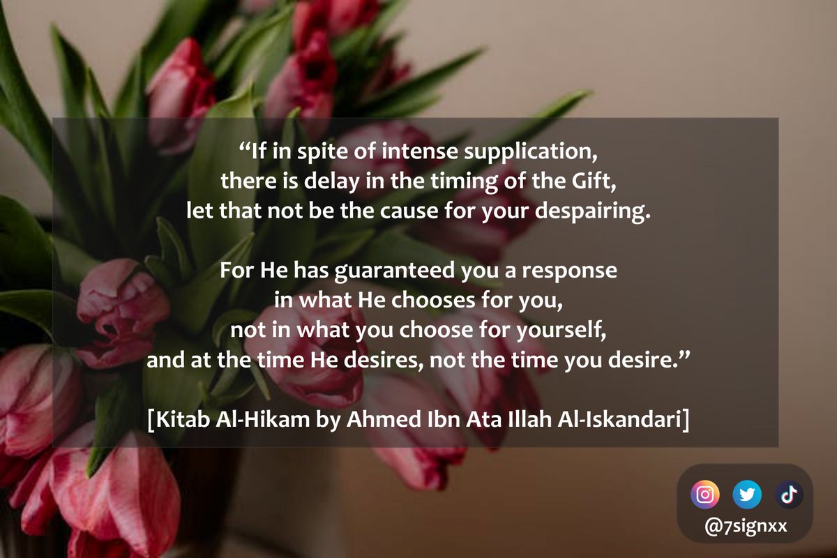 com/watch?v\u003d, image size:1200x800