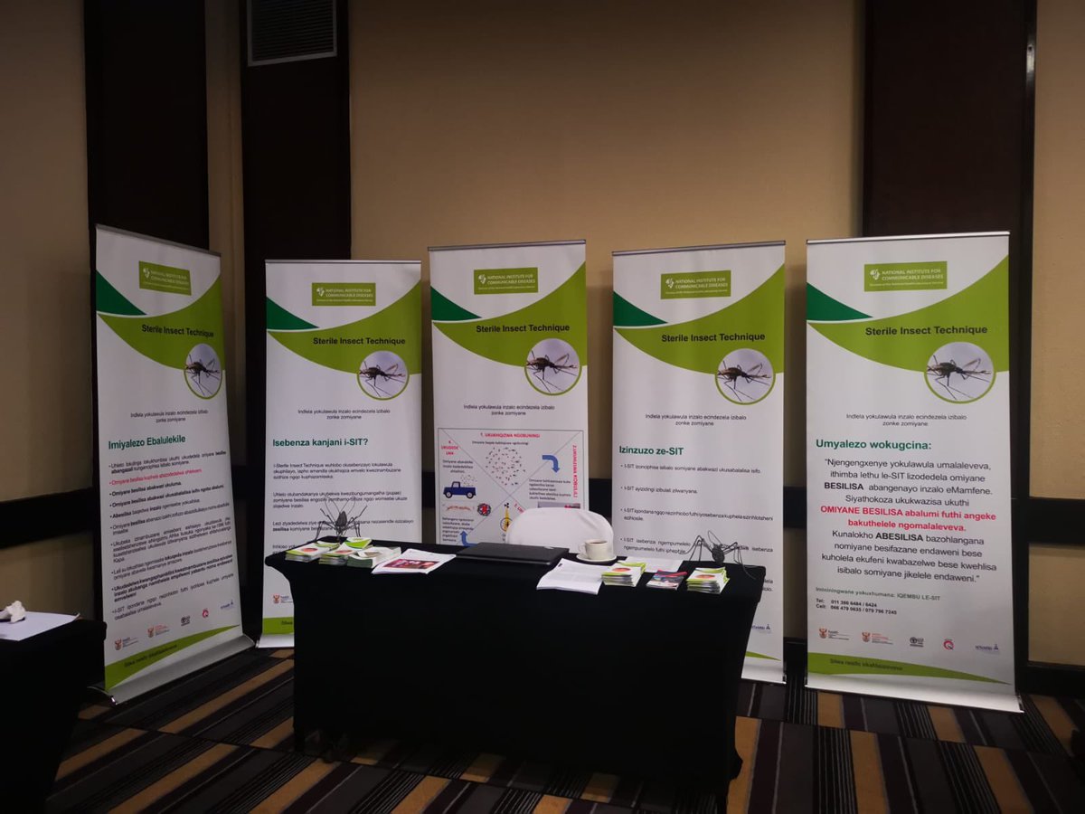 WITS_Malaria's tweet photo. Our Malaria Sterile Insect Technique project team’s exhibition at the  @SAYNPS @NuclearTechImb Youth Summit in Pretoria this week. 🦟 

#innovation 
#SITmosquitoes
#SAYNPS #Nuclearyouthsummit2023 @WitsHealthFac https://t.co/raXEUZgoyT