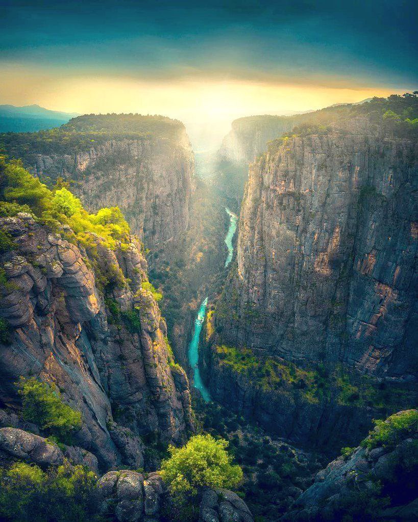 Atena26867439's tweet photo. Everything needs a guide and you are the guide of our soul, 
O our saviour...

 #ThePromisedSaviour https://t.co/95ESCYOflI