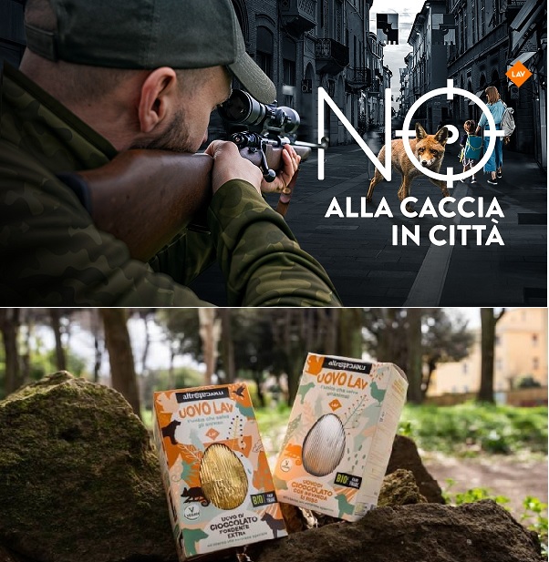 LAV Bari tweet media