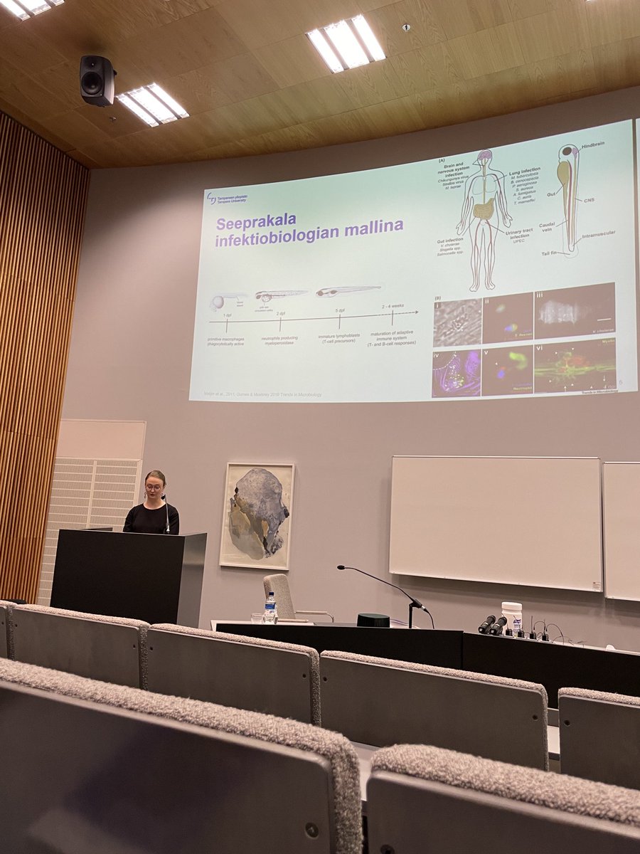 Hanna Luukinen explaining why #zebrafish is a good model for #tuberculosis research