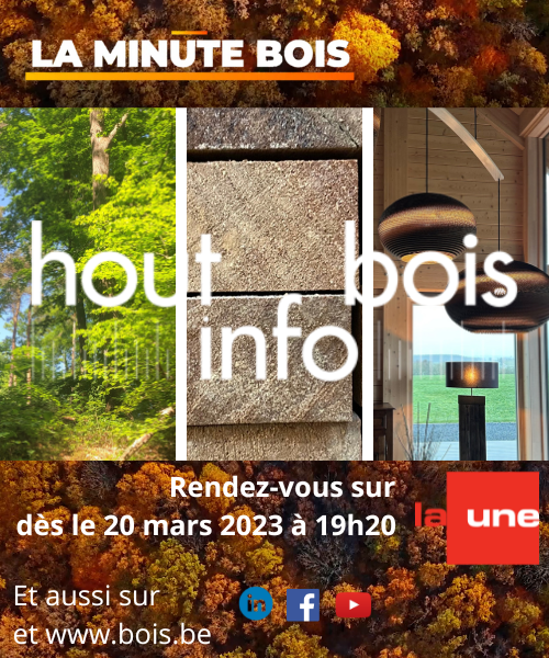 Envie d’en savoir plus sur la #forêt, le #bois et sa mise en œuvre ? Rendez-vous à partir du 20 mars 2023 sur La Une à 19h20 (juste avant le JT) pour la #minutebois Saison 2. Pour découvrir les sujets abordés : houtinfobois.be/ressources/tut… 

#construction #constructionbois