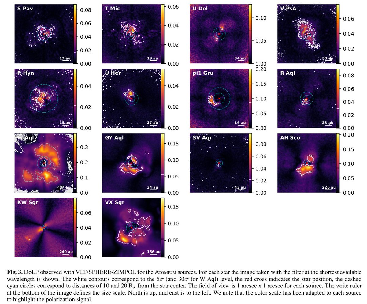 Astro_MiguelM's tweet photo. Some good news this week. I am very happy to report the publication in @AandA_journal of our observations of 14 red giant and supergiant stars with @SPHERE_outreach. 

The article is available in Open Access. 

https://t.co/eUA4ARQ2gr

(1/6) https://t.co/Ar70TG52Ej
