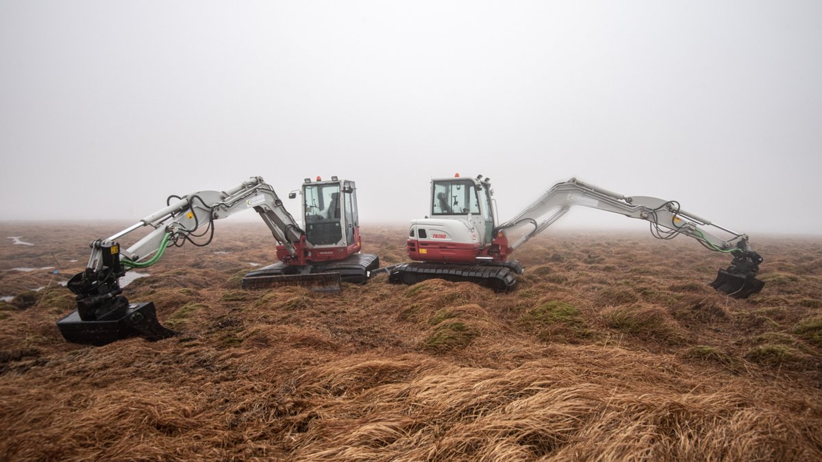 somewhere-nowhere tweet media