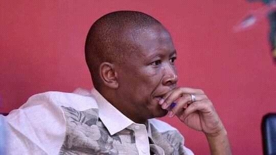 AnithaCPT's tweet photo. @Julius_S_Malema "No work no pay" part https://t.co/p0vqLmoWGd