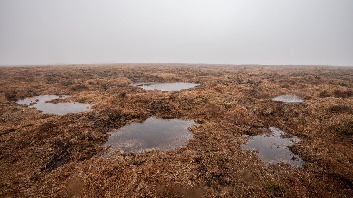 somewhere-nowhere tweet media