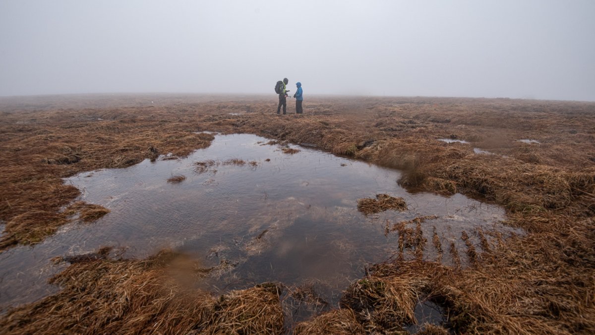 Wet, windy, cold, but worth it: on Dartmoor's commons with @SWpeatland. With only around 1% of Dartmoor's peatland in good condition, restoration is critical & change can happen quickly. Blog here: foundationforcommonland.org.uk/commons-storie… @dartmoornpa @4commonland #peat #carbon #biodiversity