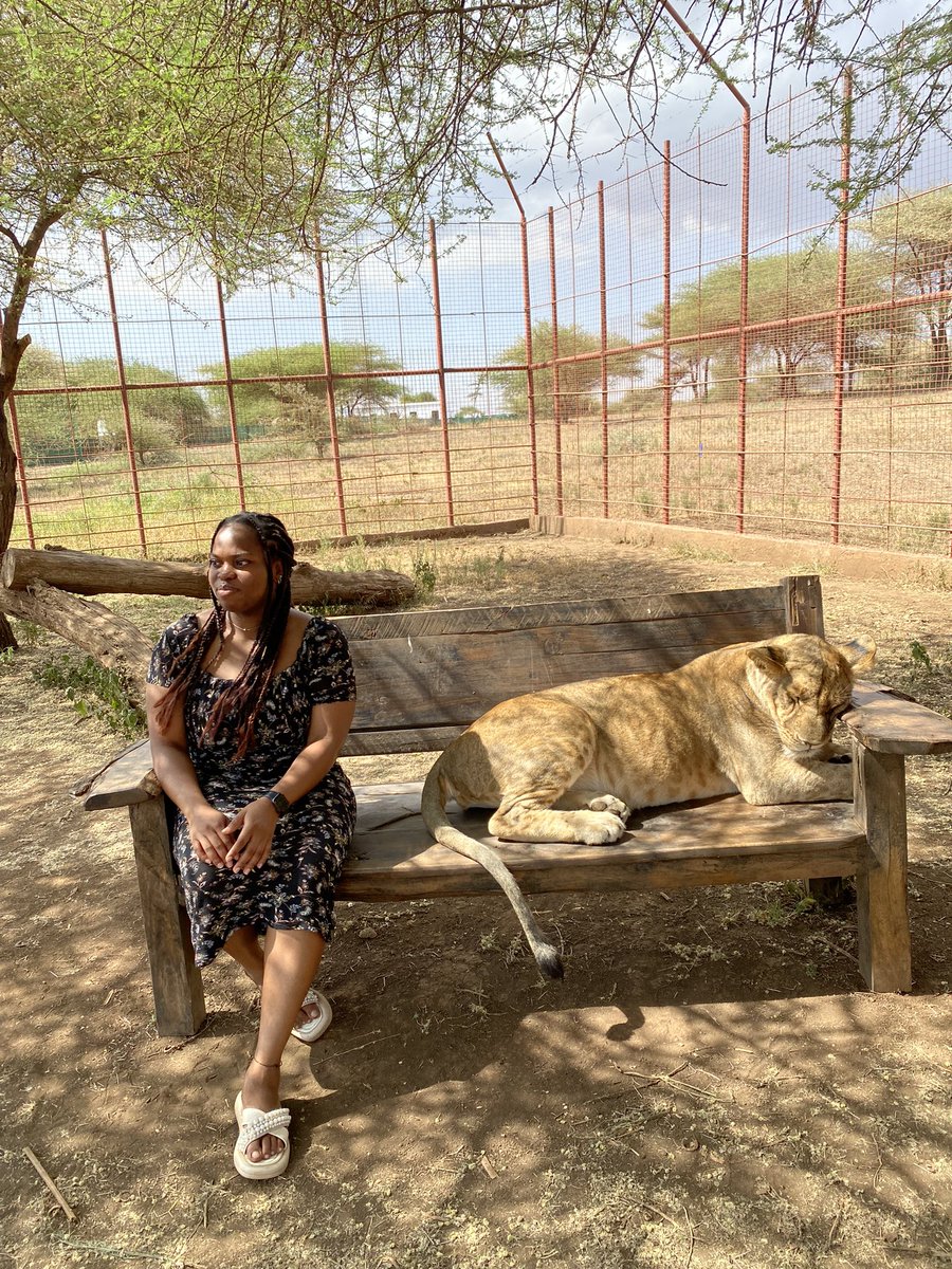 ebiru_esther's tweet photo. I got lions today🎉 https://t.co/4bLmka52fw