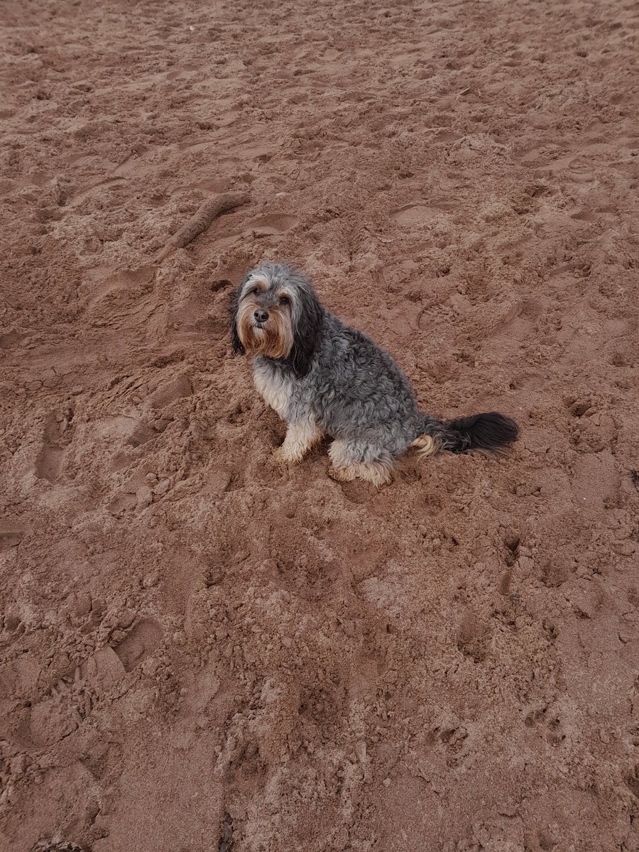 Finally stopped raining in East Devon