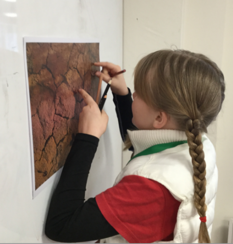 PipersPrep's tweet photo. After re-reading 'Moth - An Evolution Story', Year 6 further investigated how well moths camouflage themselves in #PipersScience today. @isabelwriting https://t.co/aNWzjVHeSP