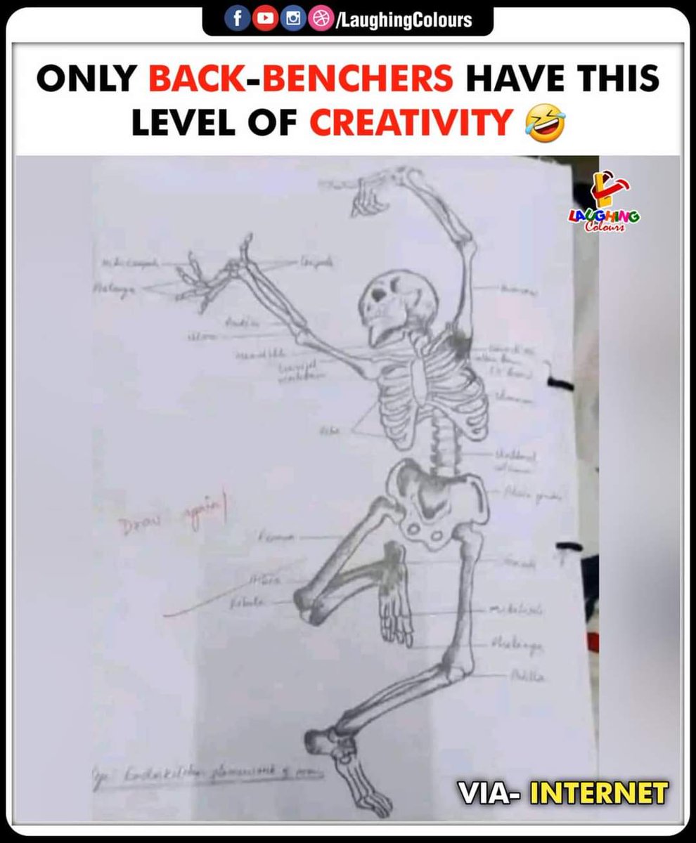 Creative Minds