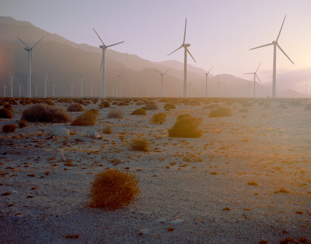 Alessandro Indaco tweet media