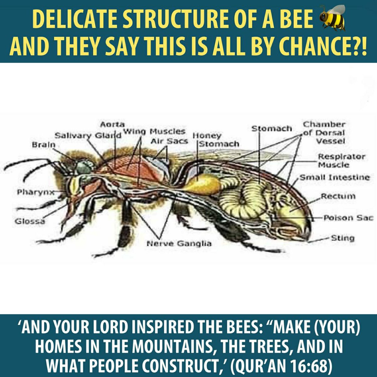 freemonotheist's tweet photo. https://t.co/FlX7mJ9WNO