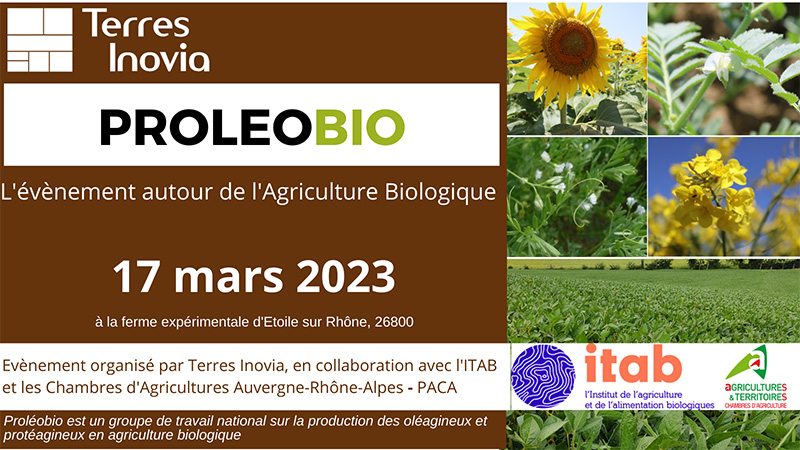 be_roux's tweet photo. 1ère journée #PROLEOBIO 2023 : aujourd'hui à Étoile sur Rhône-69 organisée par  les @ChambagriFrance
 @ITABinstitut  et @terresinovia.  Au programme #colza #soja #legumessecs  #poischiche innovation varietale @TopSemences #pollinisation @AnamsoAssos
 @CapProteines
 projet #PEPIT https://t.co/QljPwo3AbX
