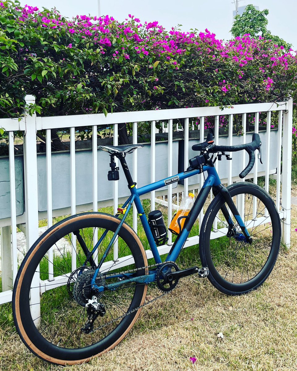 senlin305's tweet photo. 春暖花开
#gravelbike
#gravelcycling
#gravelbikeworld 
#gravellove 
#gravelride 
#roadbike
#gravel 
#gravelroad
#Gopro
#cycling 
#cyclinglife 
#ride
#bike 
#cycle
#MucBlue
#UtilityBelt
#bicycle
#砾石公路车
#瓜车
#移动电源
#脚踏车
#单车
#自行车
#充电宝 https://t.co/E9pXYsbbr0