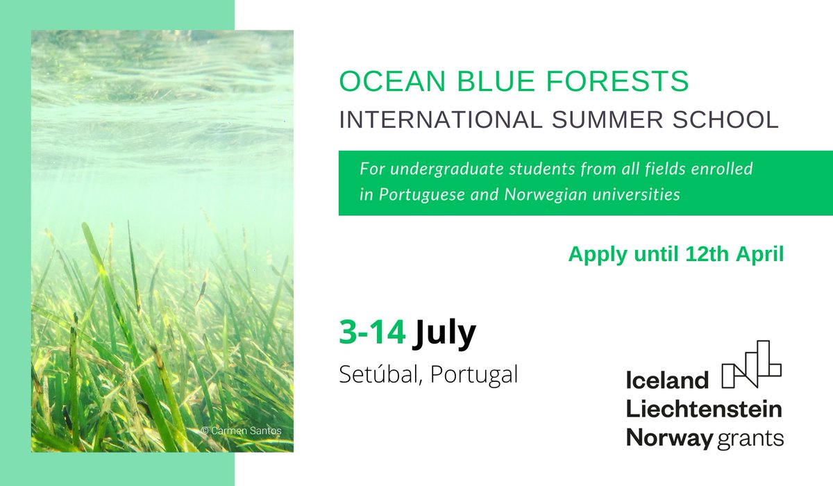 🙌Ready to explore the #BlueForests of the Sado estuary? 🌱Join us at the Ocean Blue Forests International Summer School with lectures, field and laboratory work, and awesome cultural activities! 

📍Register until April 12th: ccmar.ualg.pt/advanced-tech-…

#EEAGrants