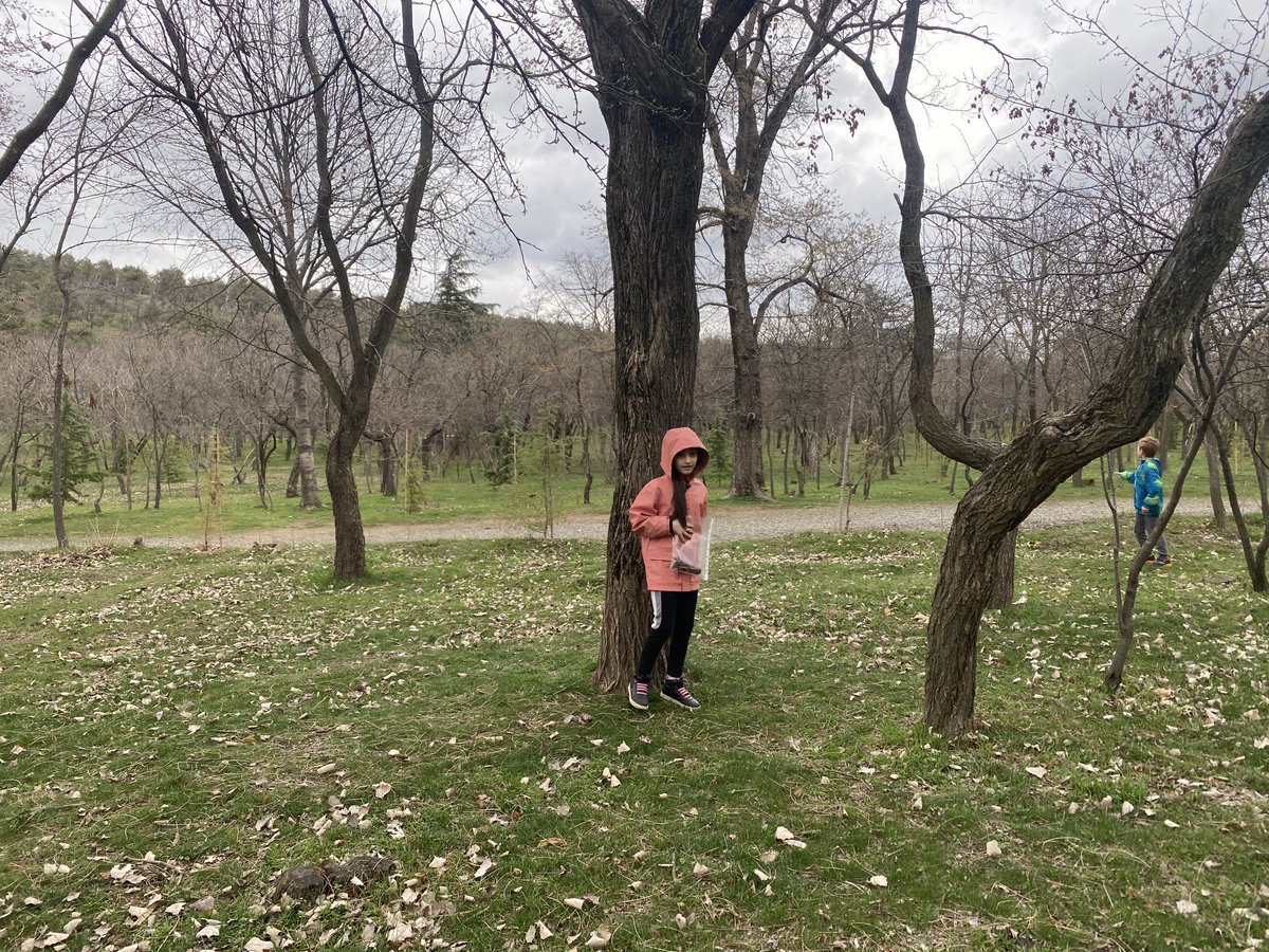 BIST_OL's tweet photo. โฆToday we went to the lake area for our lesson. We used tree stumps to estimate how old the trees were. โฆ@2_bistโฉ #outdoorlearning #natureexploring https://t.co/muMAHU9Xve