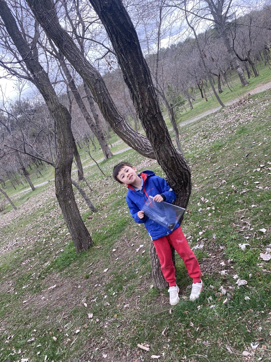 BIST_OL's tweet photo. โฆToday we went to the lake area for our lesson. We used tree stumps to estimate how old the trees were. โฆ@2_bistโฉ #outdoorlearning #natureexploring https://t.co/muMAHU9Xve