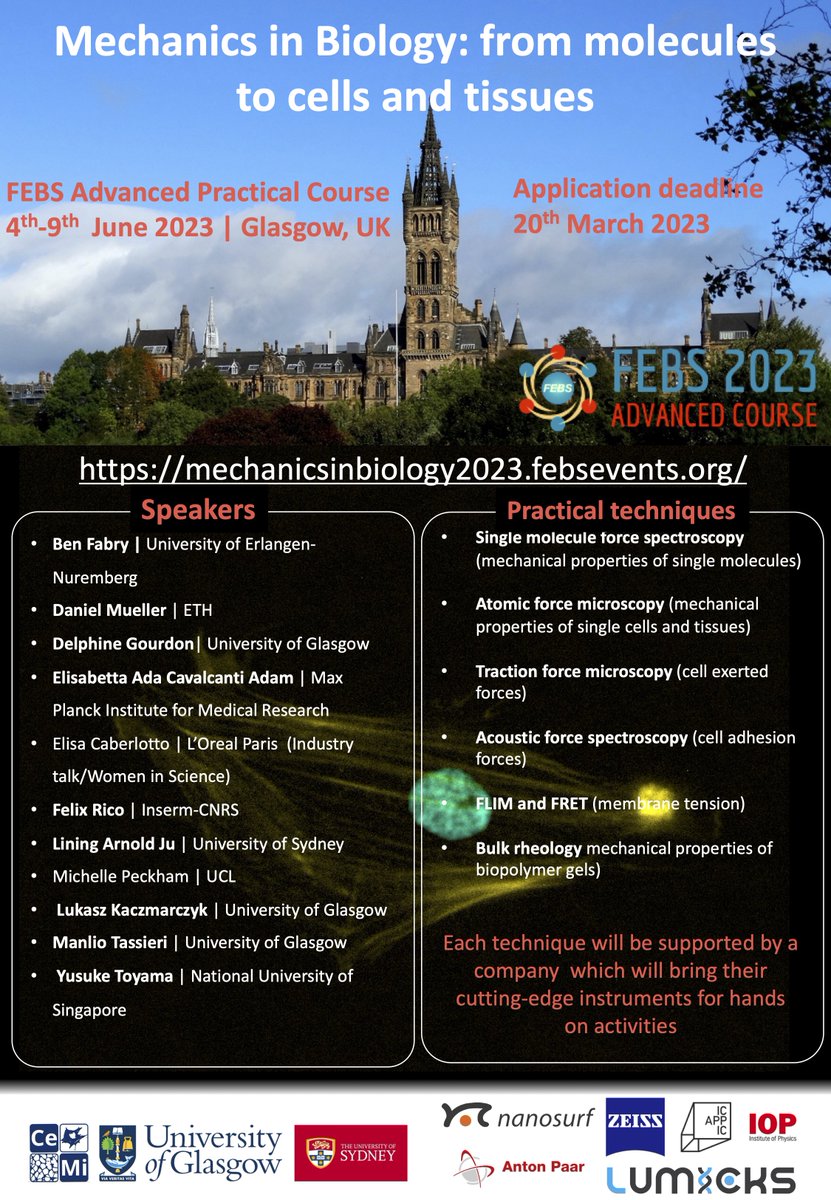 Manlio Tassieri tweet media