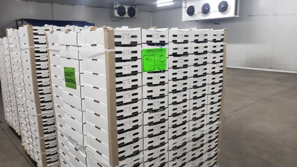 Dr Edwin Masimba Moyo tweet media