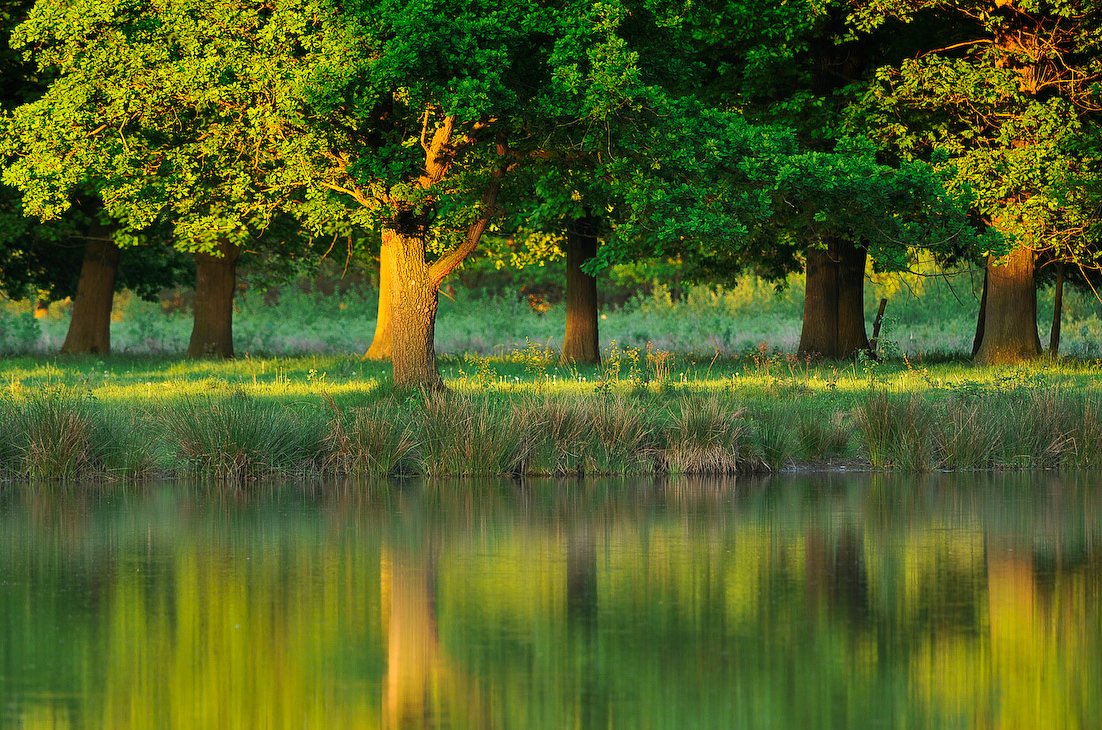 We zijn op zoek naar een afdelingshoofd Adviezen, Vergunningen en Erkenningen. 
Interesse? Surf naar rb.gy/m9qpyh 

📷 Tom Linster

#jobs #vacature