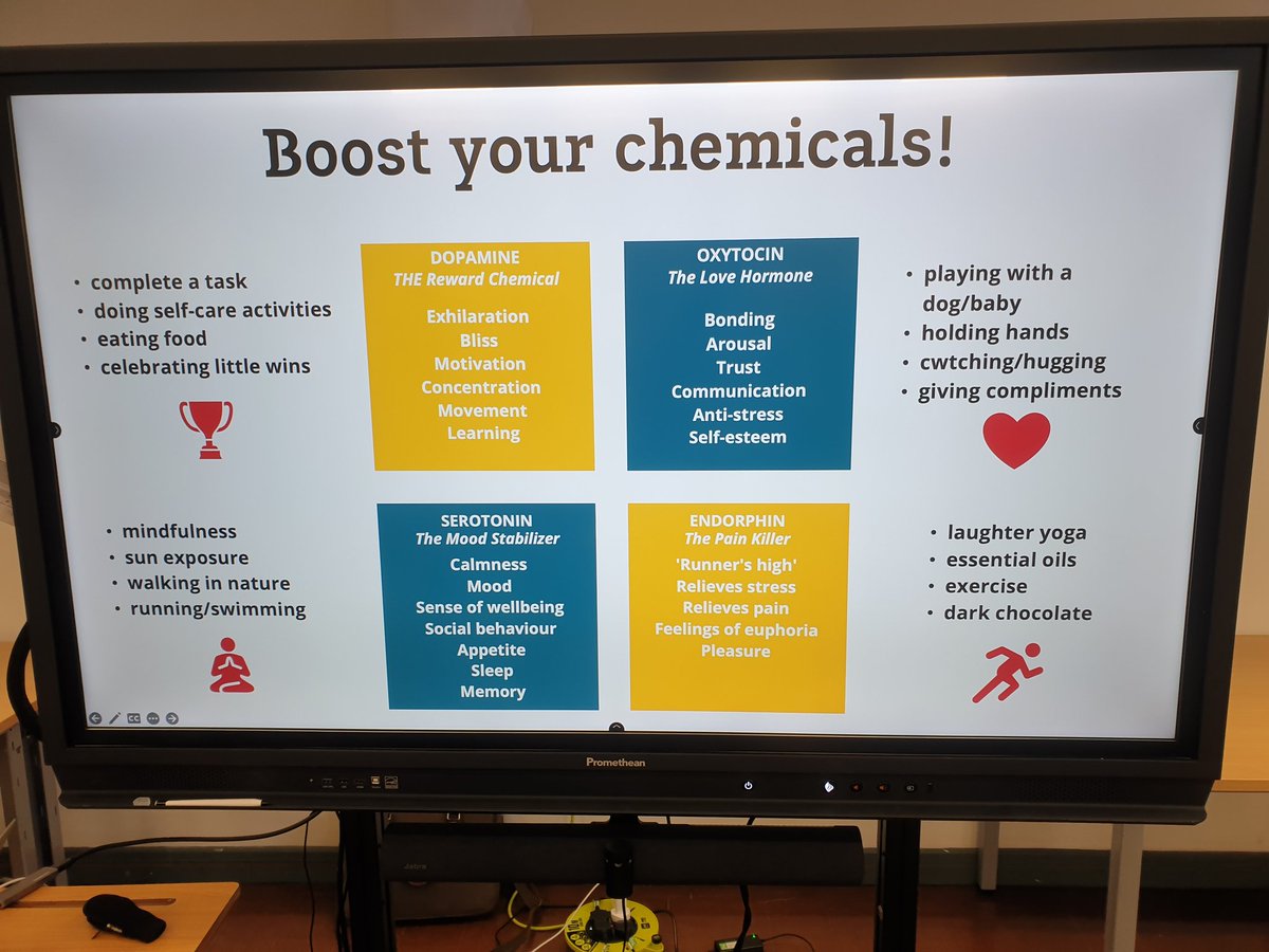 Mindful Families tweet media