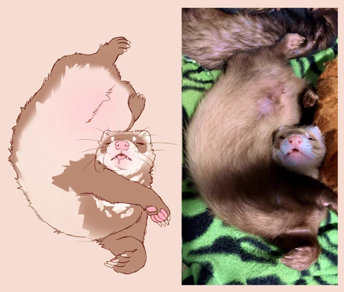 Beans 