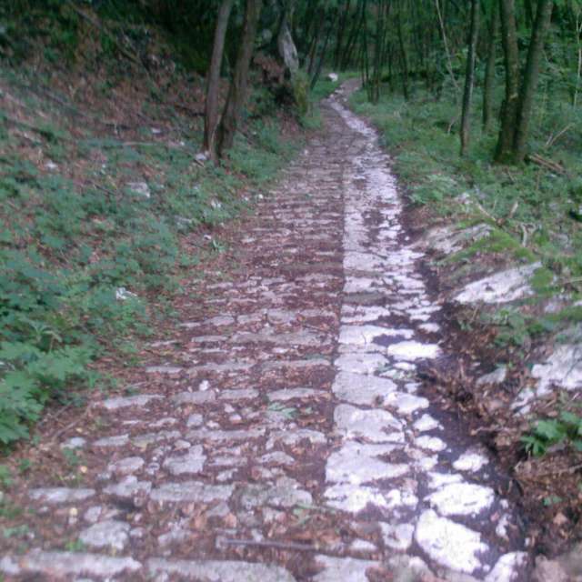 La strada per la felicità è irta ed erta, molto irta e molto erta.
(Ma io faccio foto di merda e non si capisce)

Calà del Sasso - 4.444 gradini
Valstagna - Asiago