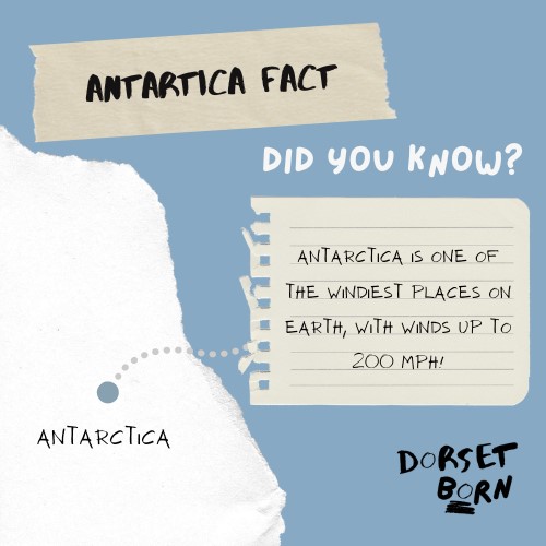 DorsetLibraries's tweet photo. Some fun family trivia about Antarctica from #Dorsetborn Theatre company ahead of their fantastic production for families of  'Georgia and the Iceberg'  which tours #Dorsetlibraries April 11th - 14th,
Find more information here
https://t.co/ZAhWB3a284 https://t.co/t9E7SeewYT