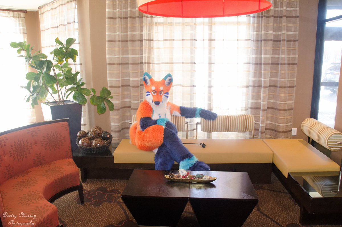 FoxCirrus's tweet photo. Is our room ready yet?

📷: blackdragoon01
#FursuitFriday https://t.co/OcqUqRQ7bq