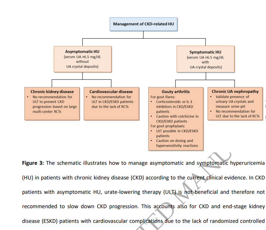 CKJsocial's tweet photo. Asymptomatic hyperuricemia in CKD: mechanisms &amp; clinical implications 
🔓https://t.co/J8IP275LqQ
➡️asymptomatic HU is not as bad as previously thought at least in the context of CKD progression &amp; sterile inflammation https://t.co/wLyEuU0sD0