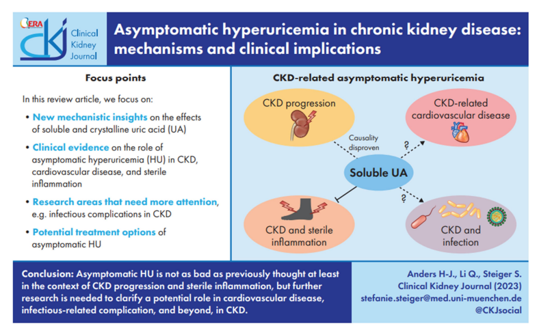 CKJsocial's tweet photo. Asymptomatic hyperuricemia in CKD: mechanisms &amp; clinical implications 
🔓https://t.co/J8IP275LqQ
➡️asymptomatic HU is not as bad as previously thought at least in the context of CKD progression &amp; sterile inflammation https://t.co/wLyEuU0sD0
