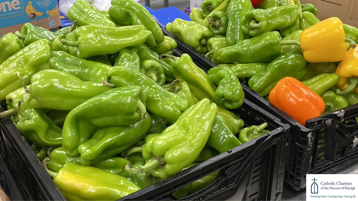 CathCharDoR's tweet photo. Happy St Patrick's Day! Our bit of green today is our farm fresh food! Our 5 food pantries share fresh produce with our neighbors in need to help families healthily meet their basic needs!
#ProvidingHelpCreatingHope #CatholicCharitiesDOR #FoodPantryNC https://t.co/uHGF2ipFvj