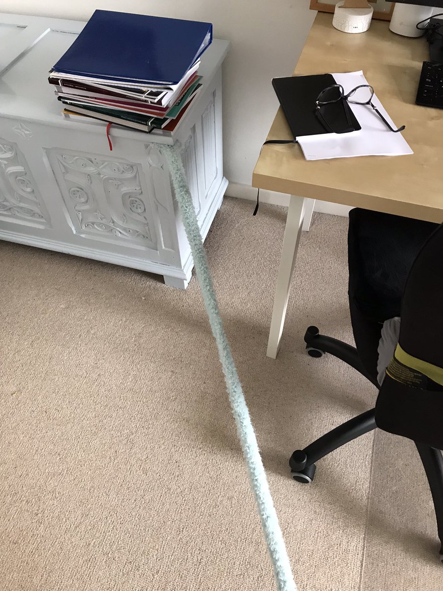 Successfully navigated the knitting/ GCSE revision guides stretch trap laid by my daughter to get to work this morning