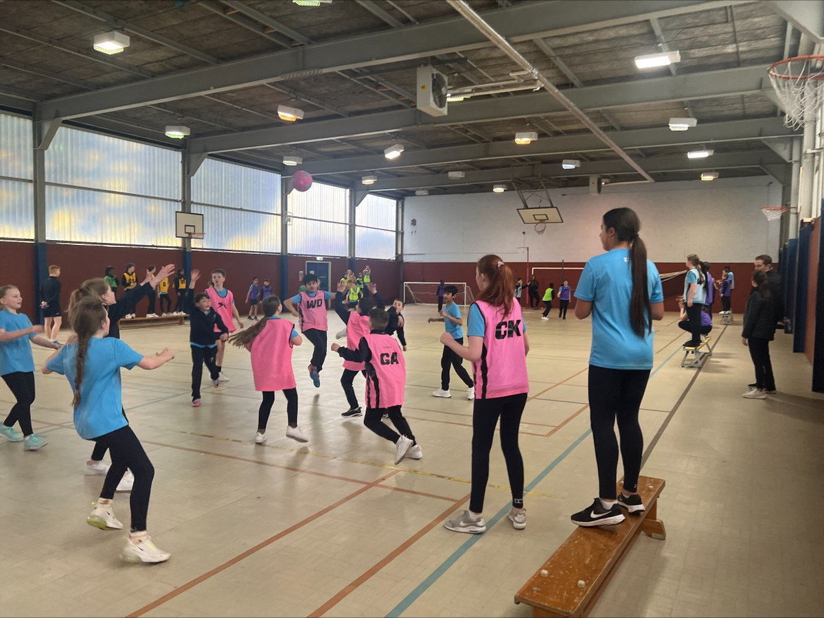 HC_Scotland's tweet photo. This week in PE our #HamiltonJ6 and #HamiltonTransitus came together to take part in an interhouse benchball tournament. Mixed teams played in multiple fixtures against the other houses in what was a fun afternoon! Harris house came out victorious #HamiltonConfidence https://t.co/0aoPX1YRuX