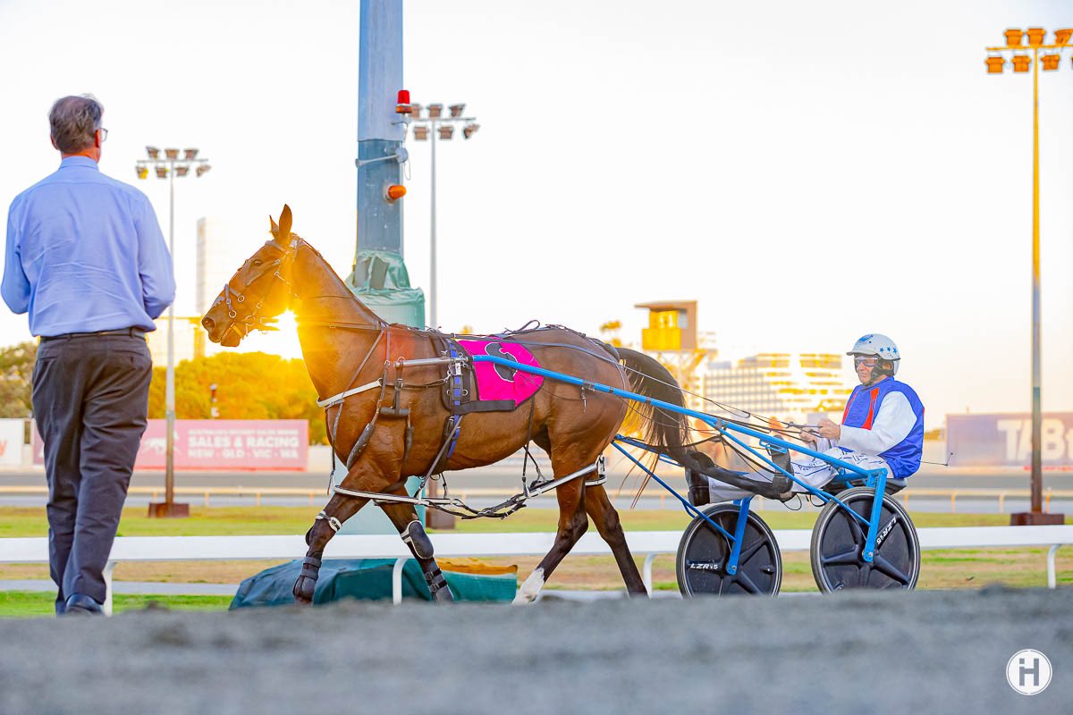 Hamilton Content Creators tweet media