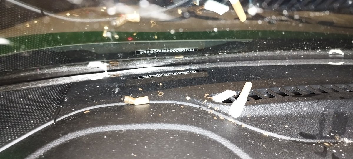 tromey's tweet photo. @renault_fr voici quelques photos montrant l'état déplorable des dernières voitures #zity que j'ai louées. Quel est votre plan qu'on n'ait plus envie de vomir en entrant dans vos voitures ? https://t.co/XEgDF0EY39