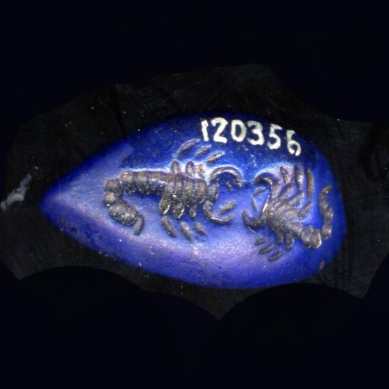 Lapis lazuli stamp-seal with two scorpions facing each other. Sasanian, 4th cent. britishmuseum.org/collection/obj…