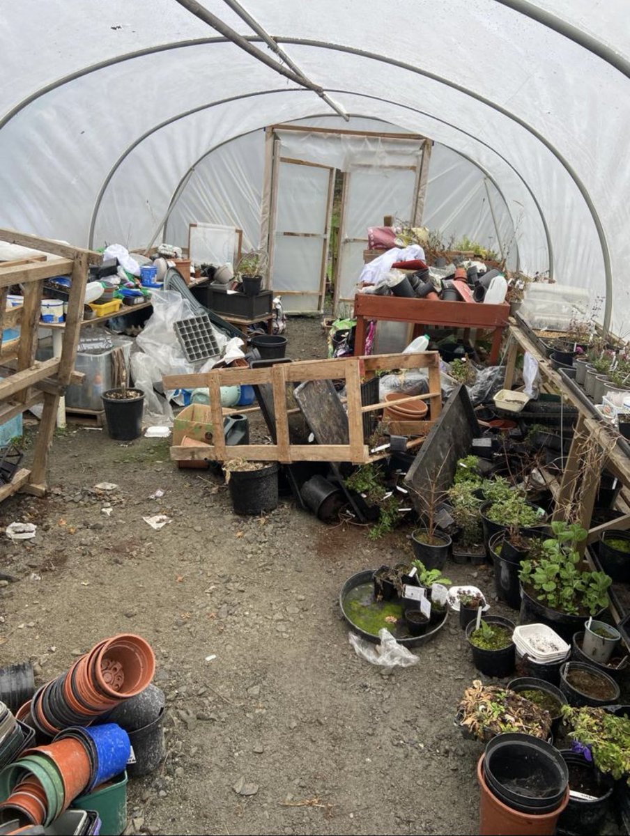 3townzgrowers's tweet photo. There are no words to describe how we are feeling today. It’s sickening vandalism. Community plot trashed, seedlings killed, picnic area smashed @AyrshireNPolice will be coming along soon to support. #community #allotments #ayrshire https://t.co/UPHXccERyo