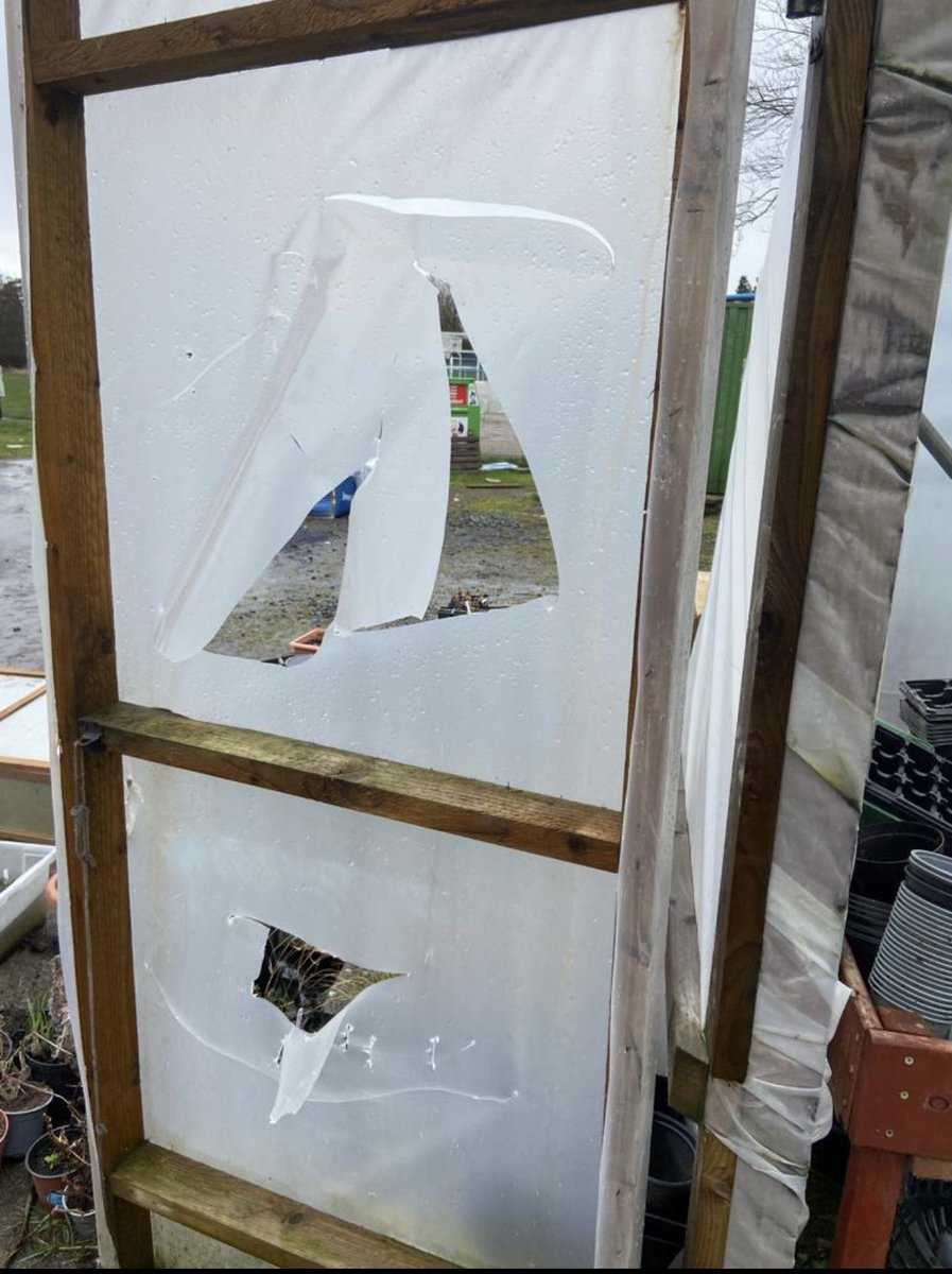 3townzgrowers's tweet photo. There are no words to describe how we are feeling today. It’s sickening vandalism. Community plot trashed, seedlings killed, picnic area smashed @AyrshireNPolice will be coming along soon to support. #community #allotments #ayrshire https://t.co/UPHXccERyo