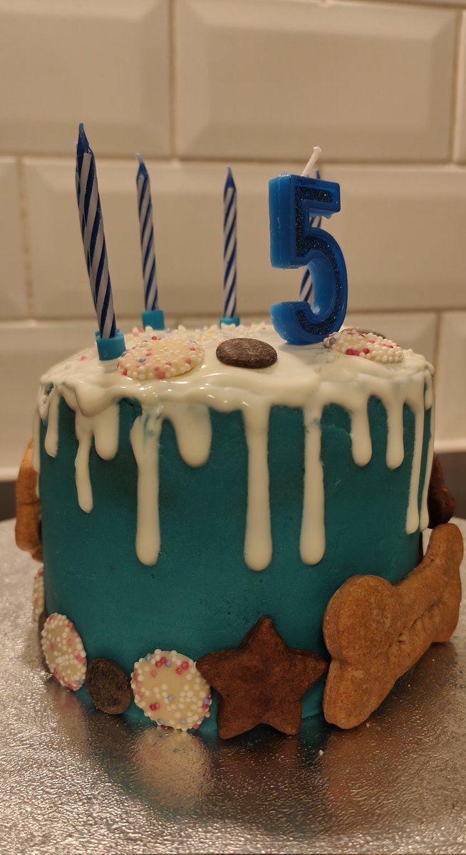 wilykit's tweet photo. 🐶🎂 Made a doggy birthday drip cake! Super chuffed with this one🥰 #bakingfordogs #dogbirthdaycake #dogfriendly https://t.co/czmagixSAc