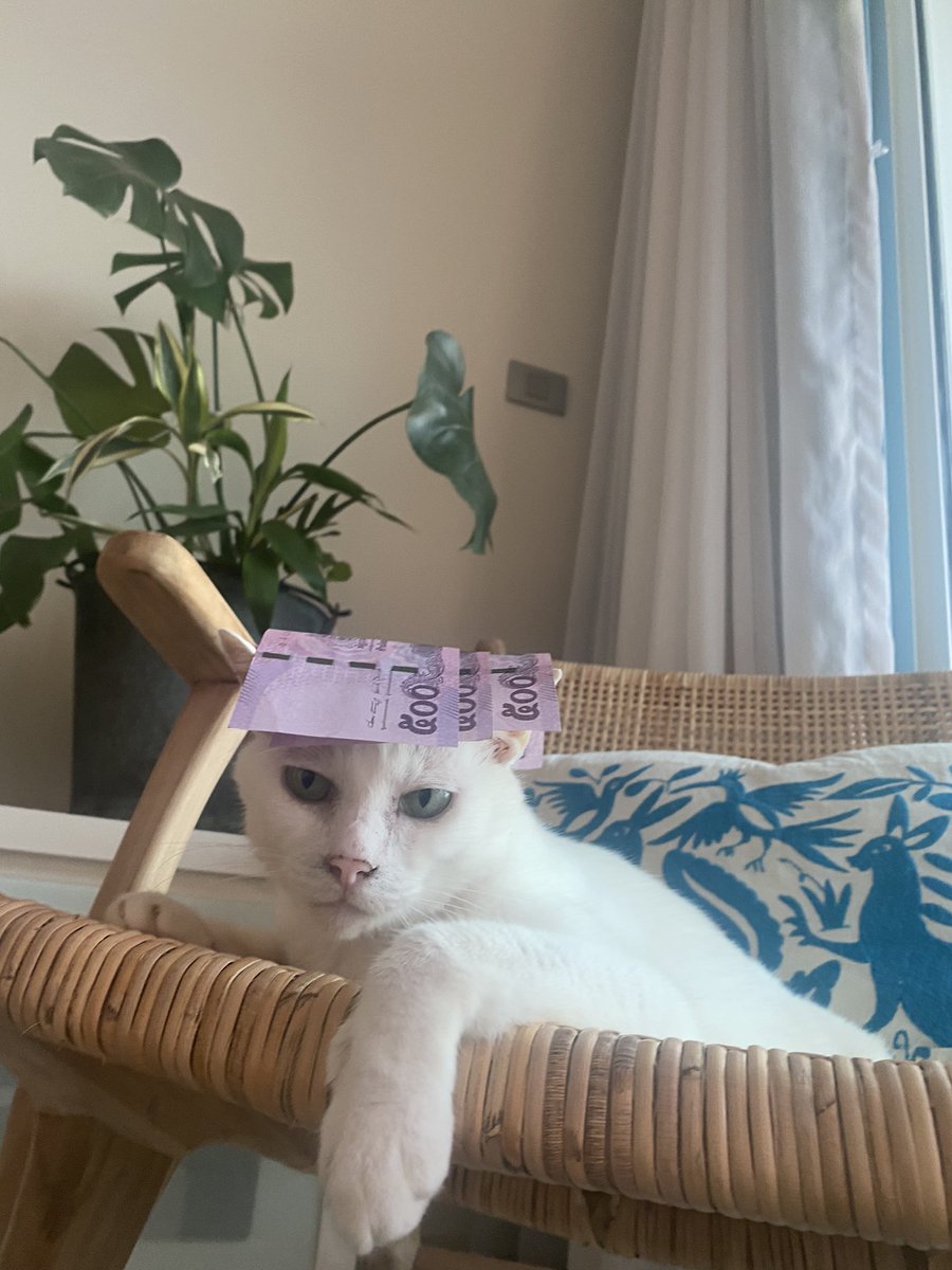 PixelCatGame's tweet photo. @ERCCnft https://t.co/mvRjp3U21Q