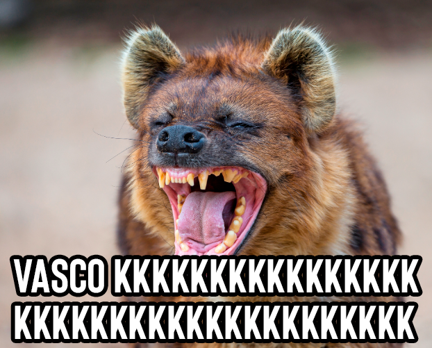 animaizinhos flamenguistas (@flanimais) on Twitter photo 